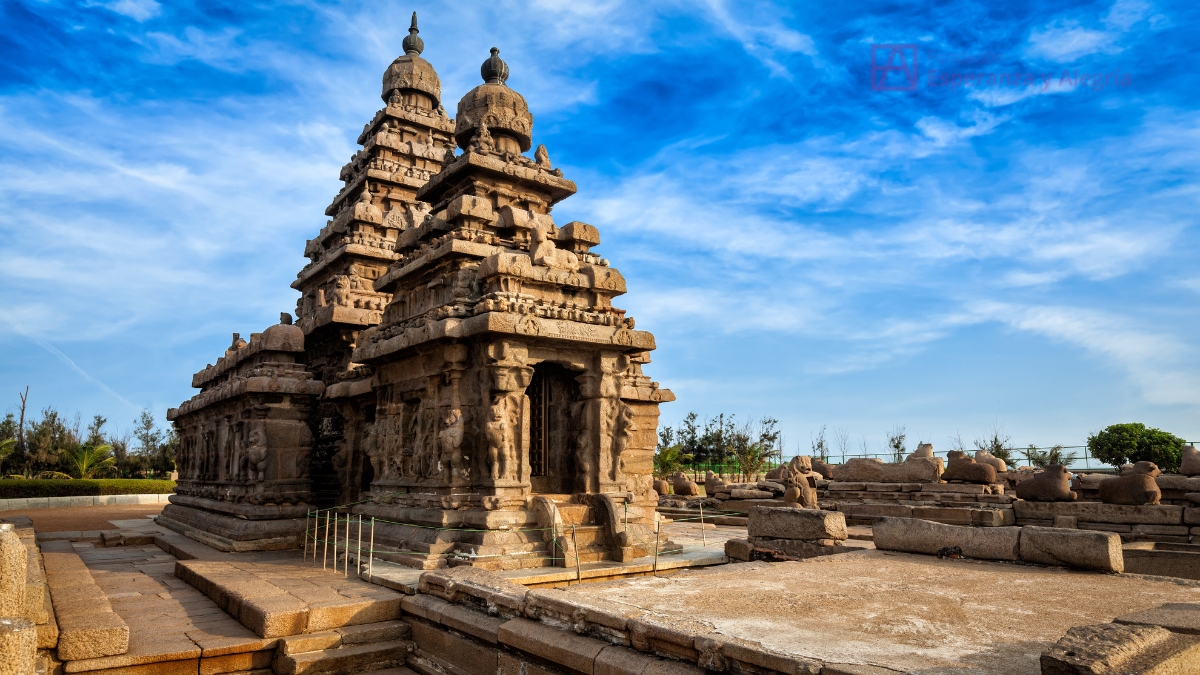 Voluntariado en Tamil Nadu